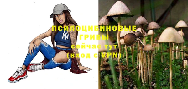 прущий лед Протвино