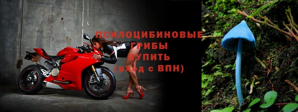прущий лед Протвино
